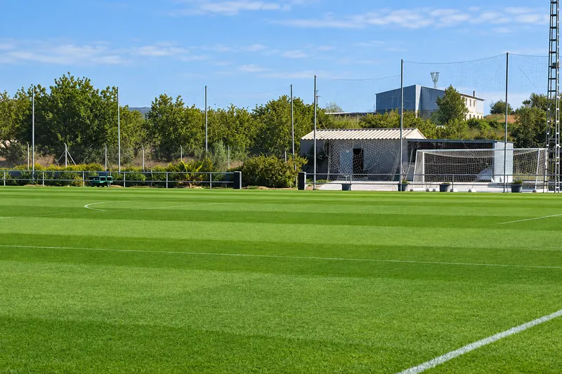 Natural grass training pitch surrounded by trees