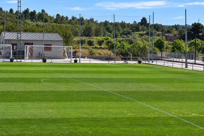 The training ground's mini-stadium, surrounded by pine trees