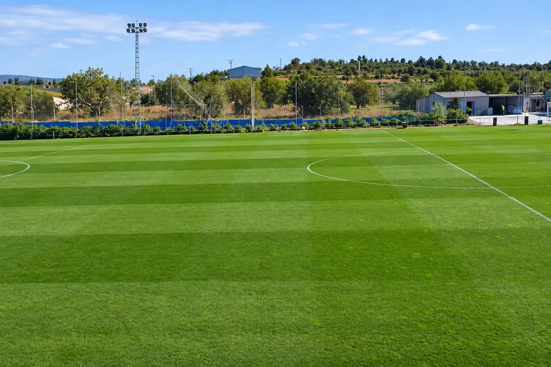 Levante UD's first-team natural grass pitch, with the mountains behind