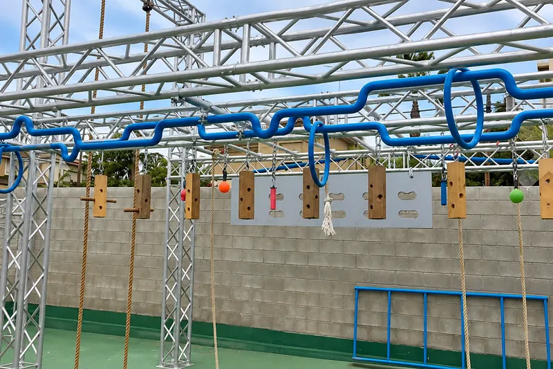 Functional training area with a rig of rings and ropes