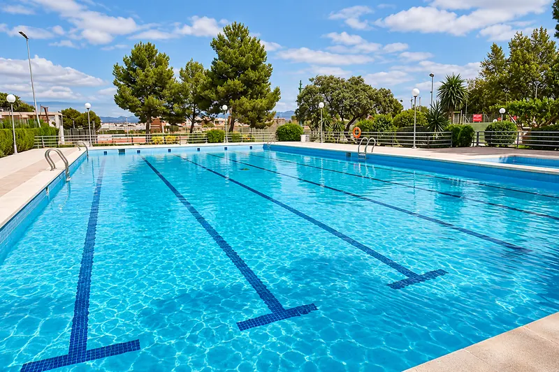 Outdoor swimming pool with marked lanes, surrounded by trees